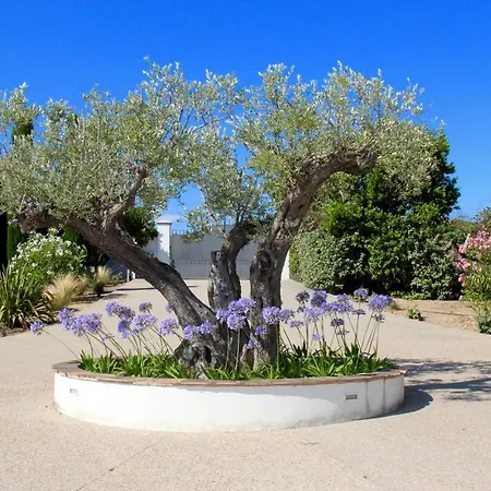 Villa Ambre Ramatuelle - St Tropez *